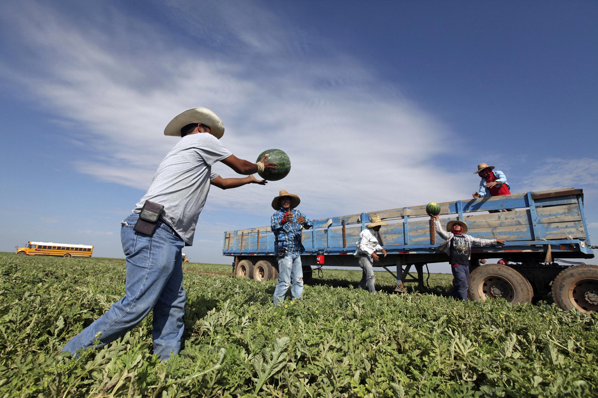 Jobs In Canada With Free Visa Sponsorship – General Farm Labourer ($25 per hour)