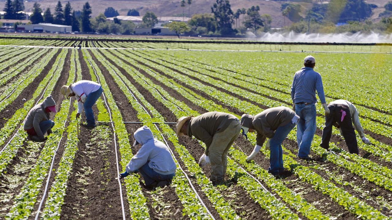 Work Opportunities In Canada For Foreigners With Free Visa Sponsorship – General Farm Labourer